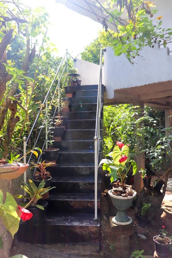 Nature Home Мирисса Экстерьер фото