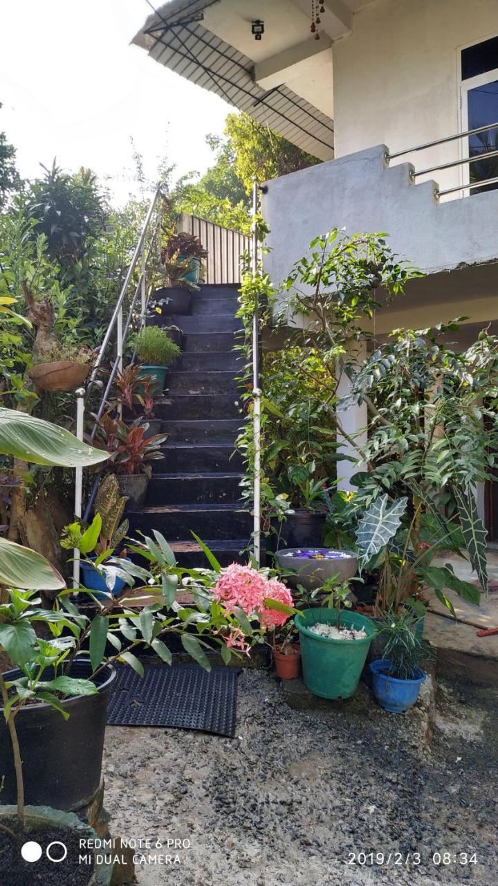 Nature Home Мирисса Экстерьер фото